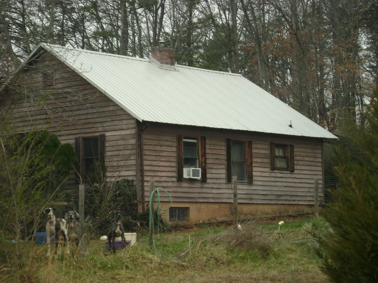 White metal roof on an old wood sided farmhouse, from a Metal Roof Installation job in Granite Falls